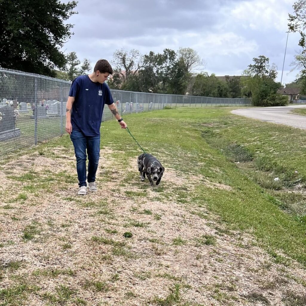 man walking dog on leash