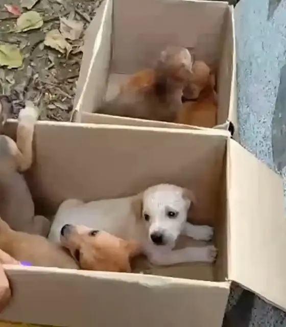 On the way to clinic