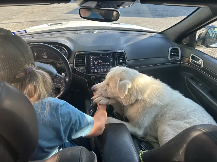 Spinach on his way to new home