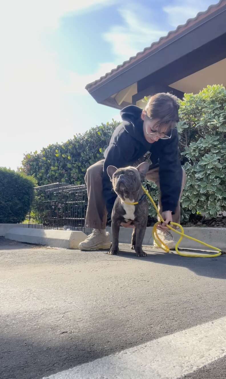 rescued dog