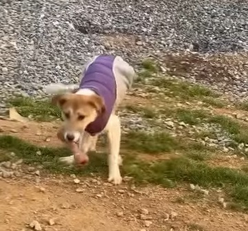 Lucky with caregivers