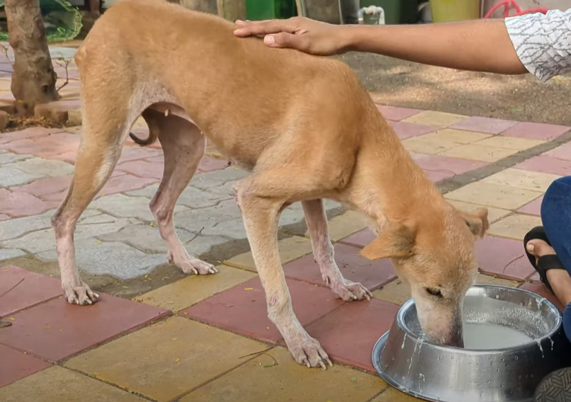recovery image 3