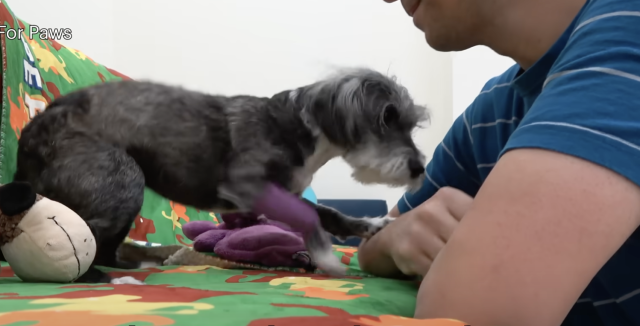 Maggie Mae recovered