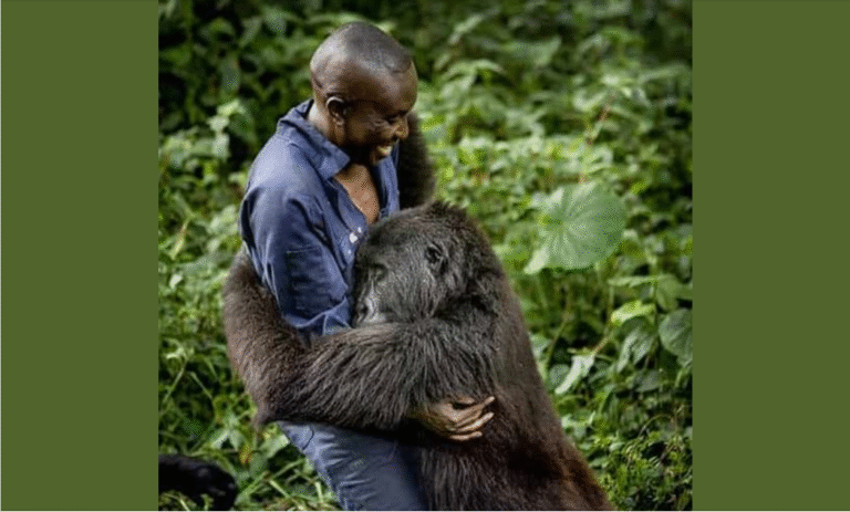 Virunga ranger with rare creature