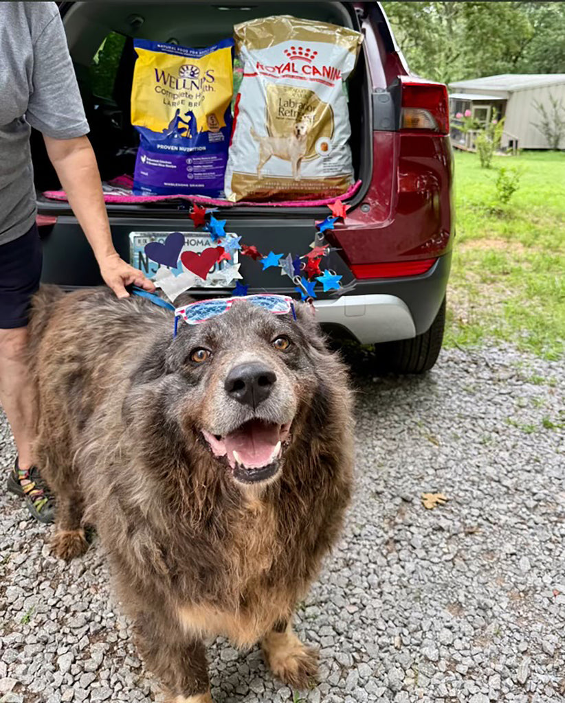 Bear at the rescue 1