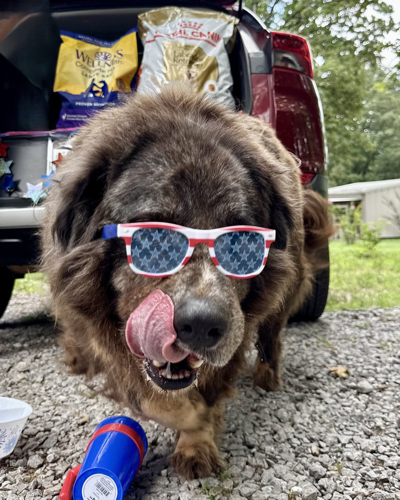 Bear at the rescue 2